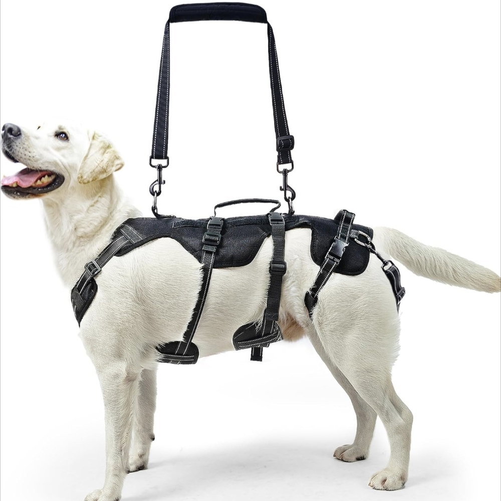 Dog Lift Harness Size XL Extra Large Dog, Rehabilitation Sling for Hind Leg